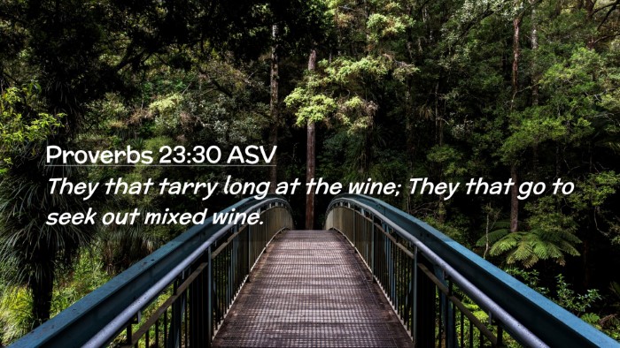 Picture 02 - Proverbs 23:30 ASV Desktop Wallpaper - They that tarry long at the wine; They that go to - Desktop Bible Verse Wallpaper