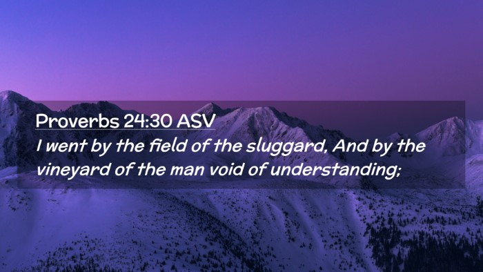 Picture 02 - Proverbs 24:30 ASV Desktop Wallpaper - I went by the field of the sluggard, And by the - Desktop Bible Verse Wallpaper