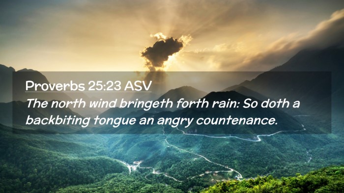 Picture 02 - Proverbs 25:23 ASV Desktop Wallpaper - The north wind bringeth forth rain: So doth a - Desktop Bible Verse Wallpaper