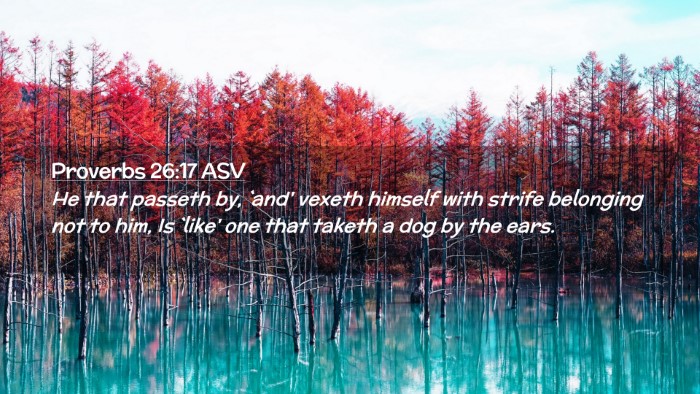 Picture 02 - Proverbs 26:17 ASV Desktop Wallpaper - He that passeth by, `and' vexeth himself with - Desktop Bible Verse Wallpaper