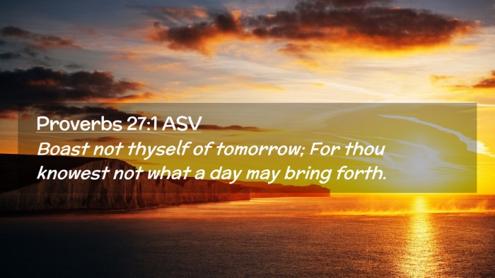 Picture 02 - Proverbs 27:1 ASV Desktop Wallpaper - Boast not thyself of tomorrow; For thou knowest - Desktop Bible Verse Wallpaper