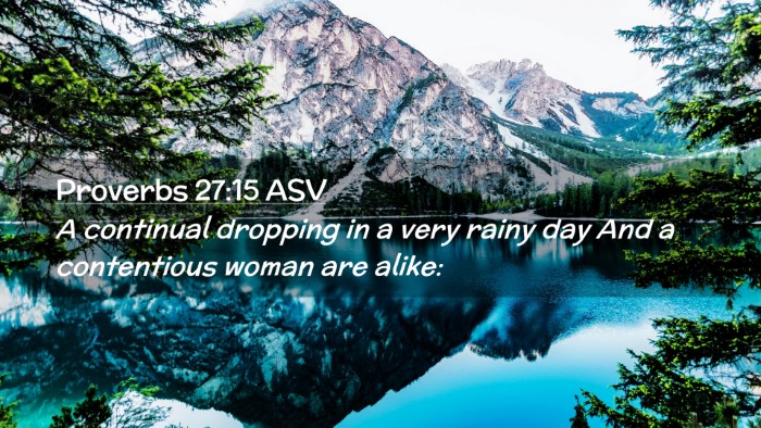 Picture 02 - Proverbs 27:15 ASV Desktop Wallpaper - A continual dropping in a very rainy day And a - Desktop Bible Verse Wallpaper