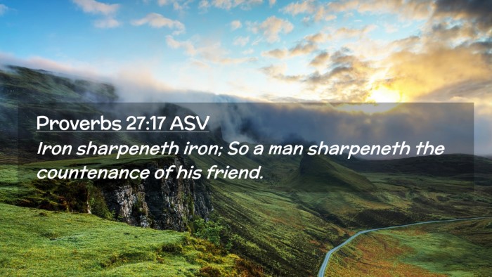 Picture 02 - Proverbs 27:17 ASV Desktop Wallpaper - Iron sharpeneth iron; So a man sharpeneth the - Desktop Bible Verse Wallpaper