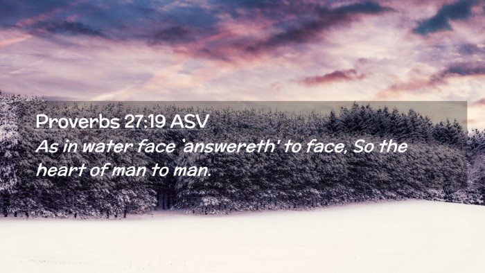 Picture 02 - Proverbs 27:19 ASV Desktop Wallpaper - As in water face `answereth' to face, So the - Desktop Bible Verse Wallpaper