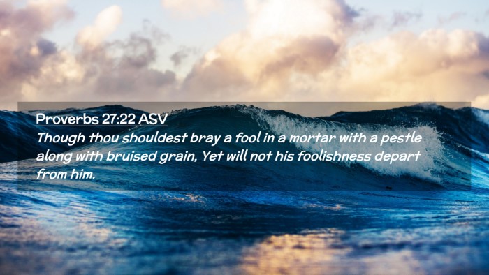 Picture 02 - Proverbs 27:22 ASV Desktop Wallpaper - Though thou shouldest bray a fool in a mortar - Desktop Bible Verse Wallpaper