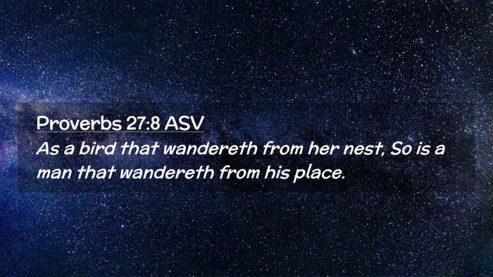 Picture 02 - Proverbs 27:8 ASV Desktop Wallpaper - As a bird that wandereth from her nest, So is a - Desktop Bible Verse Wallpaper