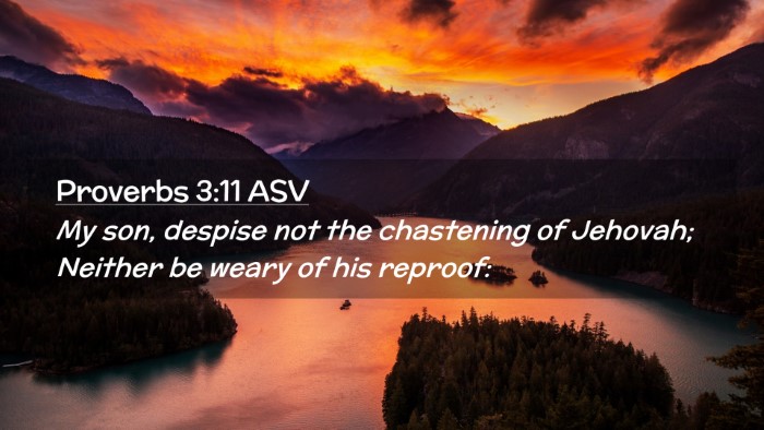 Picture 02 - Proverbs 3:11 ASV Desktop Wallpaper - My son, despise not the chastening of Jehovah; - Desktop Bible Verse Wallpaper