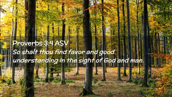 Picture 02 - Proverbs 3:4 ASV Desktop Wallpaper - So shalt thou find favor and good understanding - Desktop Bible Verse Wallpaper