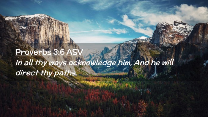 Picture 02 - Proverbs 3:6 ASV Desktop Wallpaper - In all thy ways acknowledge him, And he will - Desktop Bible Verse Wallpaper
