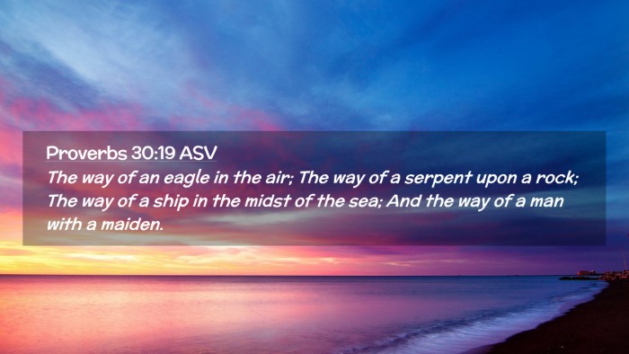 Picture 02 - Proverbs 30:19 ASV Desktop Wallpaper - The way of an eagle in the air; The way of a - Desktop Bible Verse Wallpaper