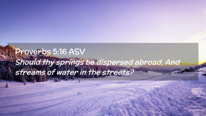 Picture 02 - Proverbs 5:16 ASV Desktop Wallpaper - Should thy springs be dispersed abroad, And - Desktop Bible Verse Wallpaper