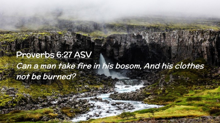 Picture 02 - Proverbs 6:27 ASV Desktop Wallpaper - Can a man take fire in his bosom, And his clothes - Desktop Bible Verse Wallpaper