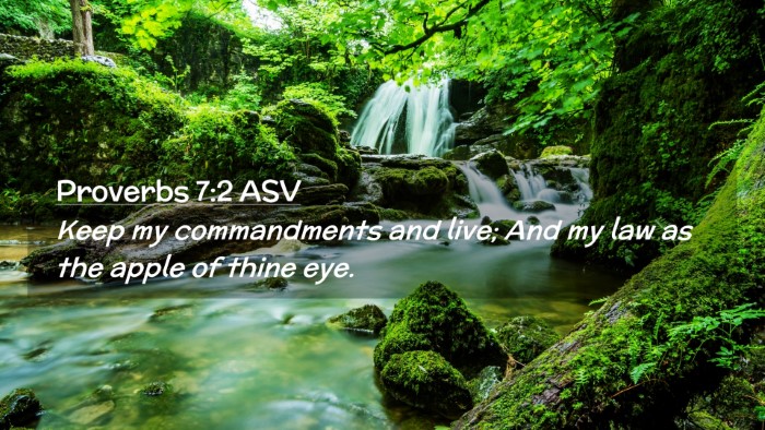 Picture 02 - Proverbs 7:2 ASV Desktop Wallpaper - Keep my commandments and live; And my law as the - Desktop Bible Verse Wallpaper