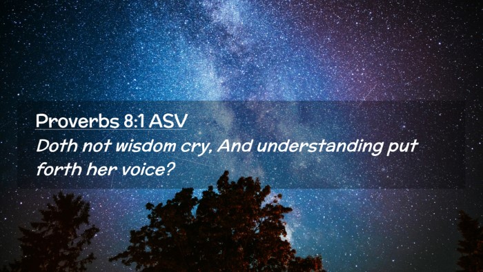 Picture 02 - Proverbs 8:1 ASV Desktop Wallpaper - Doth not wisdom cry, And understanding put forth - Desktop Bible Verse Wallpaper