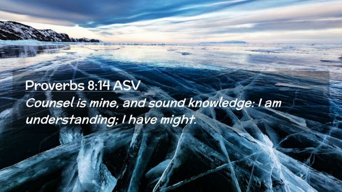 Picture 02 - Proverbs 8:14 ASV Desktop Wallpaper - Counsel is mine, and sound knowledge: I am - Desktop Bible Verse Wallpaper