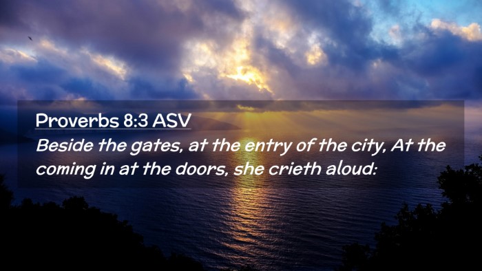 Picture 02 - Proverbs 8:3 ASV Desktop Wallpaper - Beside the gates, at the entry of the city, At - Desktop Bible Verse Wallpaper