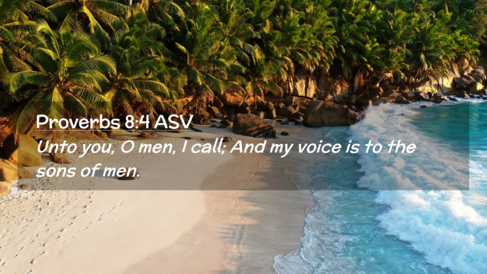 Picture 02 - Proverbs 8:4 ASV Desktop Wallpaper - Unto you, O men, I call; And my voice is to the - Desktop Bible Verse Wallpaper