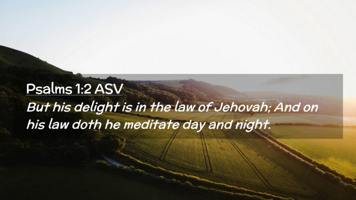 Picture 02 - Psalms 1:2 ASV Desktop Wallpaper - But his delight is in the law of Jehovah; And on - Desktop Bible Verse Wallpaper