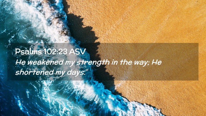Picture 02 - Psalms 102:23 ASV Desktop Wallpaper - He weakened my strength in the way; He shortened - Desktop Bible Verse Wallpaper