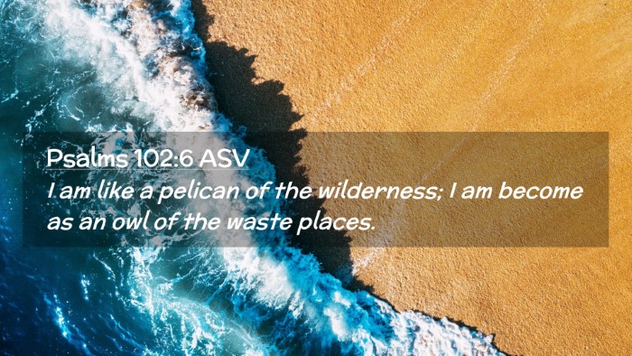 Picture 02 - Psalms 102:6 ASV Desktop Wallpaper - I am like a pelican of the wilderness; I am - Desktop Bible Verse Wallpaper
