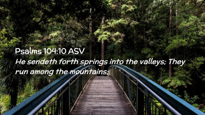 Picture 02 - Psalms 104:10 ASV Desktop Wallpaper - He sendeth forth springs into the valleys; They - Desktop Bible Verse Wallpaper