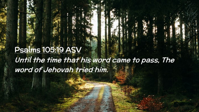 Picture 02 - Psalms 105:19 ASV Desktop Wallpaper - Until the time that his word came to pass, The - Desktop Bible Verse Wallpaper