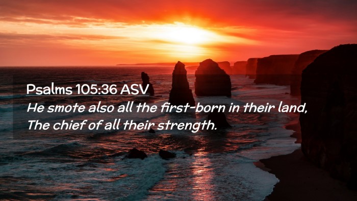 Picture 02 - Psalms 105:36 ASV Desktop Wallpaper - He smote also all the first-born in their land, - Desktop Bible Verse Wallpaper