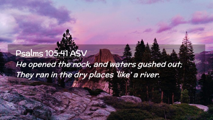 Picture 02 - Psalms 105:41 ASV Desktop Wallpaper - He opened the rock, and waters gushed out; They - Desktop Bible Verse Wallpaper