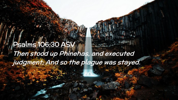 Picture 02 - Psalms 106:30 ASV Desktop Wallpaper - Then stood up Phinehas, and executed judgment; - Desktop Bible Verse Wallpaper