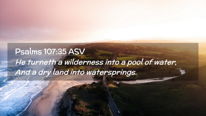 Picture 02 - Psalms 107:35 ASV Desktop Wallpaper - He turneth a wilderness into a pool of water, And - Desktop Bible Verse Wallpaper