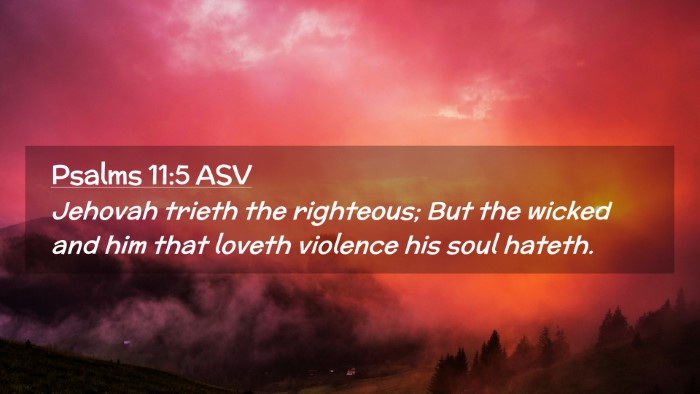 Picture 02 - Psalms 11:5 ASV Desktop Wallpaper - Jehovah trieth the righteous; But the wicked and - Desktop Bible Verse Wallpaper