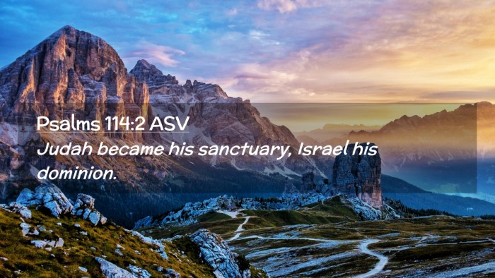 Picture 02 - Psalms 114:2 ASV Desktop Wallpaper - Judah became his sanctuary, Israel his - Desktop Bible Verse Wallpaper