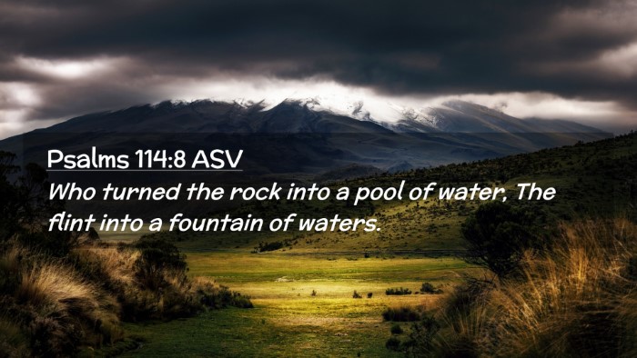 Picture 02 - Psalms 114:8 ASV Desktop Wallpaper - Who turned the rock into a pool of water, The - Desktop Bible Verse Wallpaper