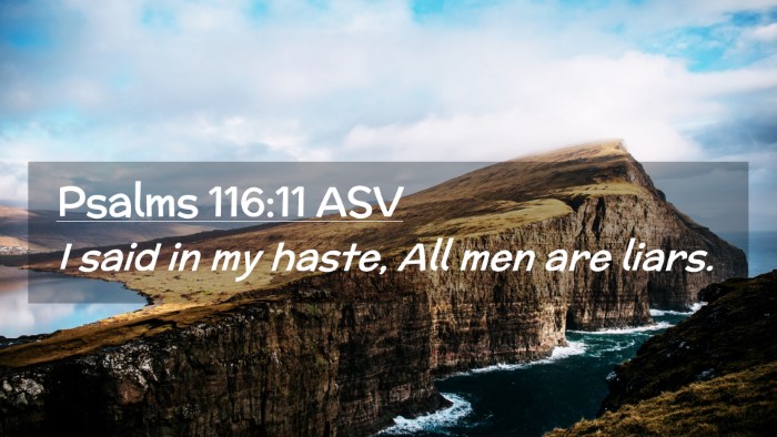 Picture 02 - Psalms 116:11 ASV Desktop Wallpaper - I said in my haste, All men are - Desktop Bible Verse Wallpaper