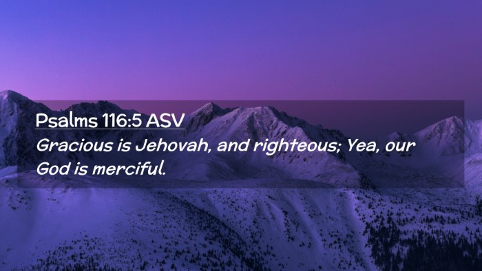 Picture 02 - Psalms 116:5 ASV Desktop Wallpaper - Gracious is Jehovah, and righteous; Yea, our God - Desktop Bible Verse Wallpaper