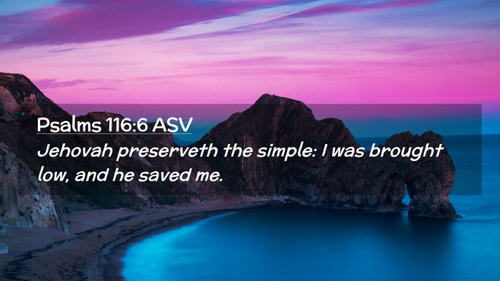 Picture 02 - Psalms 116:6 ASV Desktop Wallpaper - Jehovah preserveth the simple: I was brought low, - Desktop Bible Verse Wallpaper
