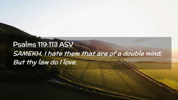 Picture 02 - Psalms 119:113 ASV Desktop Wallpaper - SAMEKH. I hate them that are of a double mind; - Desktop Bible Verse Wallpaper
