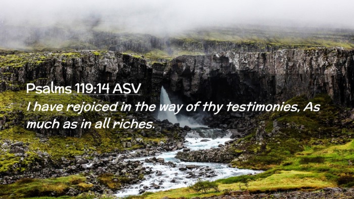 Picture 02 - Psalms 119:14 ASV Desktop Wallpaper - I have rejoiced in the way of thy testimonies, As - Desktop Bible Verse Wallpaper