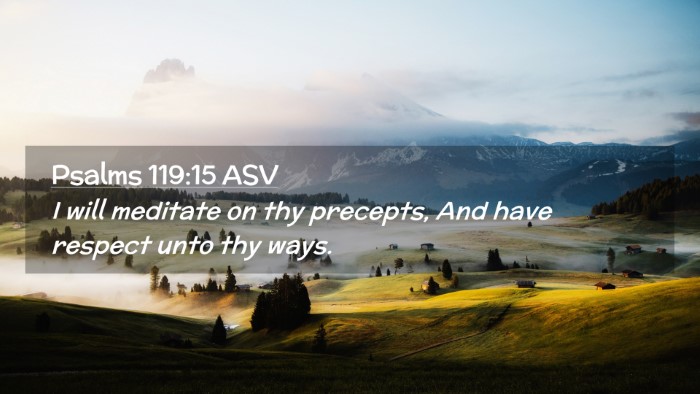 Picture 02 - Psalms 119:15 ASV Desktop Wallpaper - I will meditate on thy precepts, And have respect - Desktop Bible Verse Wallpaper
