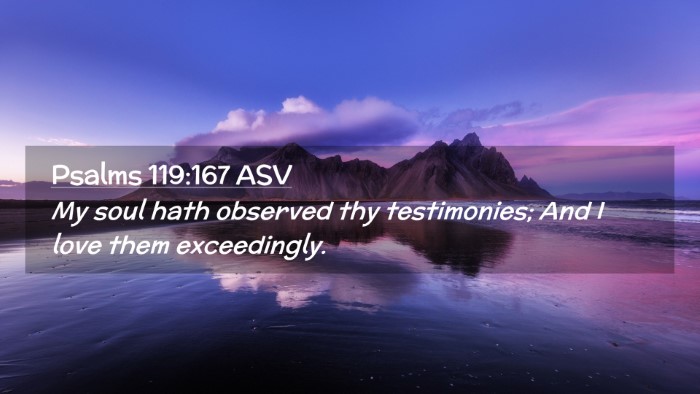 Picture 02 - Psalms 119:167 ASV Desktop Wallpaper - My soul hath observed thy testimonies; And I love - Desktop Bible Verse Wallpaper