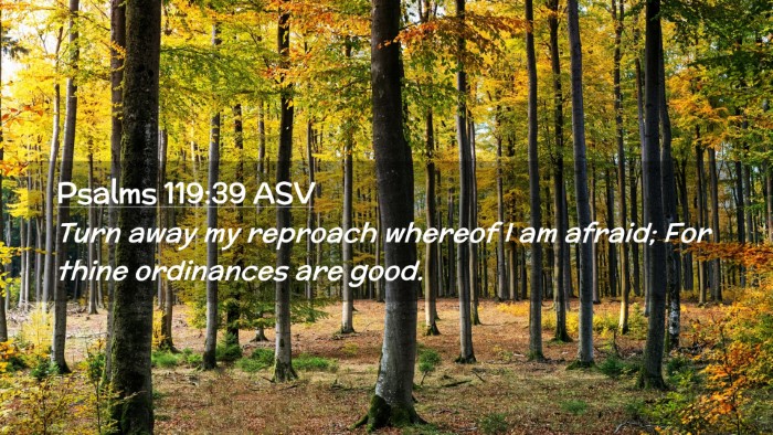 Picture 02 - Psalms 119:39 ASV Desktop Wallpaper - Turn away my reproach whereof I am afraid; For - Desktop Bible Verse Wallpaper
