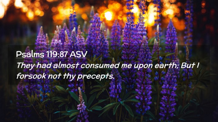 Picture 02 - Psalms 119:87 ASV Desktop Wallpaper - They had almost consumed me upon earth; But I - Desktop Bible Verse Wallpaper