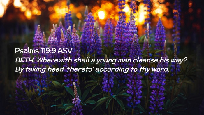 Picture 02 - Psalms 119:9 ASV Desktop Wallpaper - BETH. Wherewith shall a young man cleanse his - Desktop Bible Verse Wallpaper