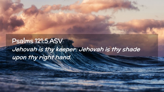Picture 02 - Psalms 121:5 ASV Desktop Wallpaper - Jehovah is thy keeper: Jehovah is thy shade upon - Desktop Bible Verse Wallpaper