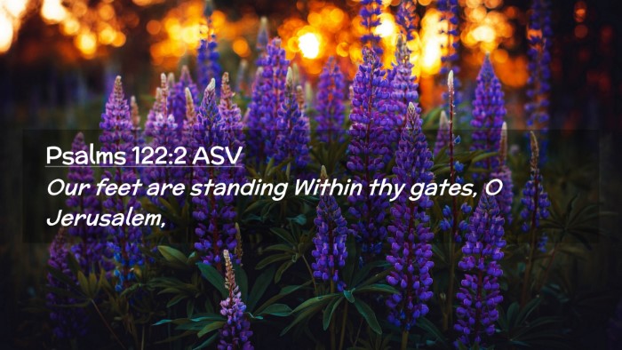 Picture 02 - Psalms 122:2 ASV Desktop Wallpaper - Our feet are standing Within thy gates, O - Desktop Bible Verse Wallpaper