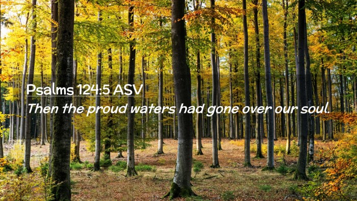 Picture 02 - Psalms 124:5 ASV Desktop Wallpaper - Then the proud waters had gone over our - Desktop Bible Verse Wallpaper