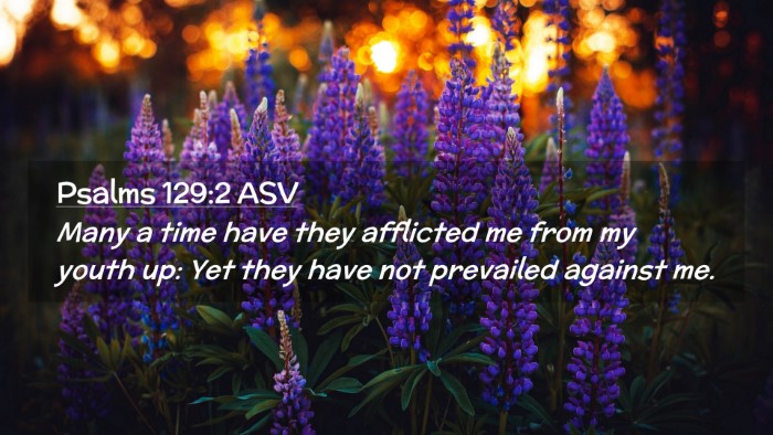 Picture 02 - Psalms 129:2 ASV Desktop Wallpaper - Many a time have they afflicted me from my youth - Desktop Bible Verse Wallpaper