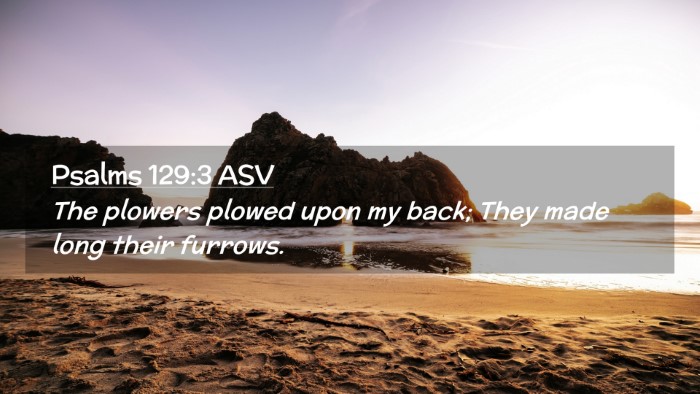 Picture 02 - Psalms 129:3 ASV Desktop Wallpaper - The plowers plowed upon my back; They made long - Desktop Bible Verse Wallpaper