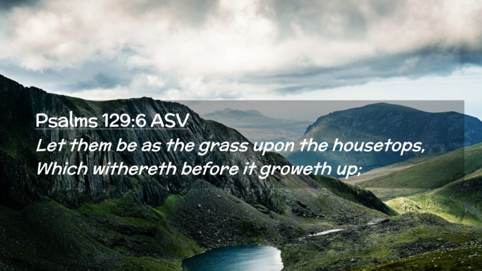 Picture 02 - Psalms 129:6 ASV Desktop Wallpaper - Let them be as the grass upon the housetops, - Desktop Bible Verse Wallpaper