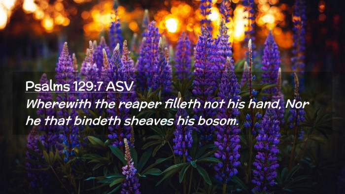Picture 02 - Psalms 129:7 ASV Desktop Wallpaper - Wherewith the reaper filleth not his hand, Nor he - Desktop Bible Verse Wallpaper
